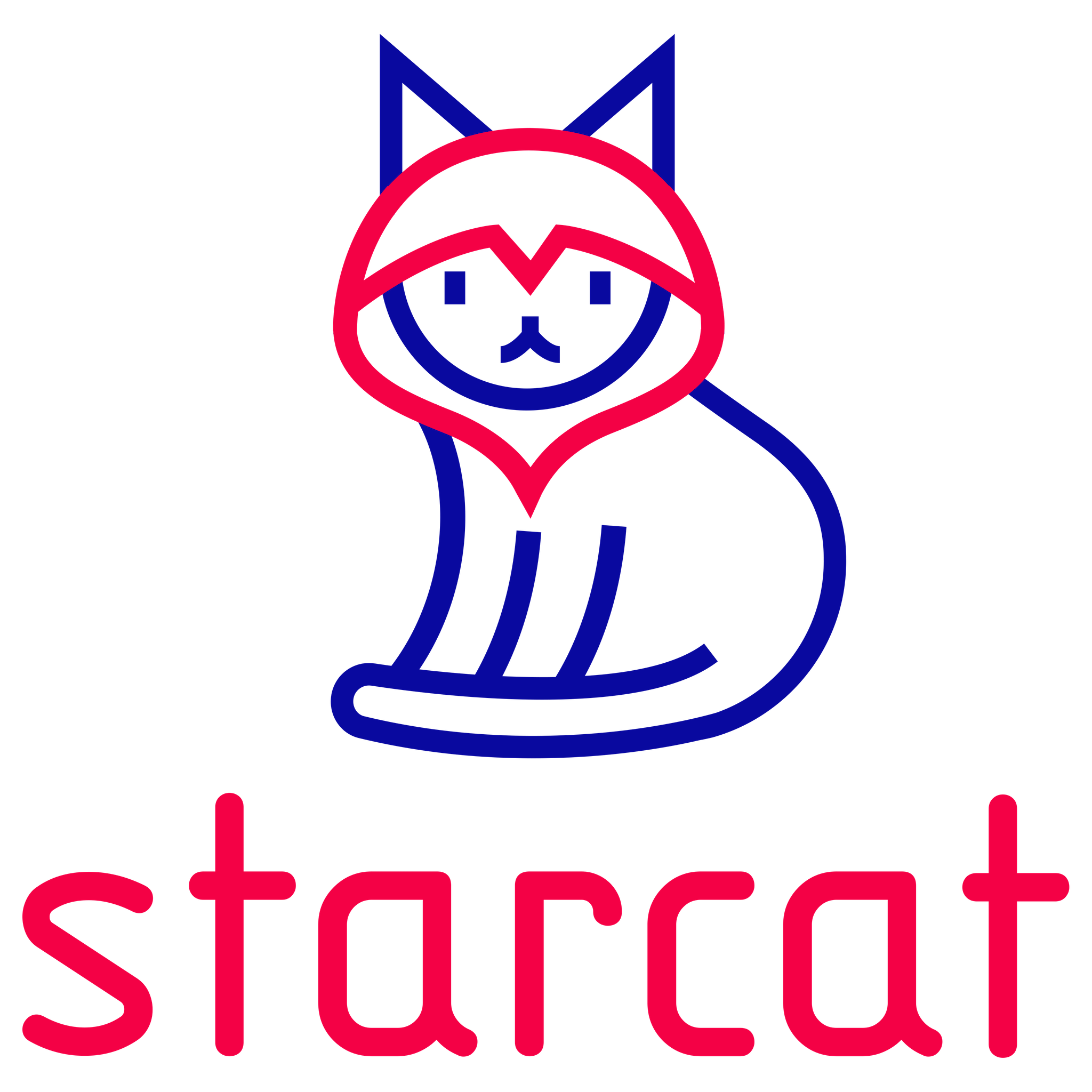StarCat.dev Korlátolt Felelősségű Társaság