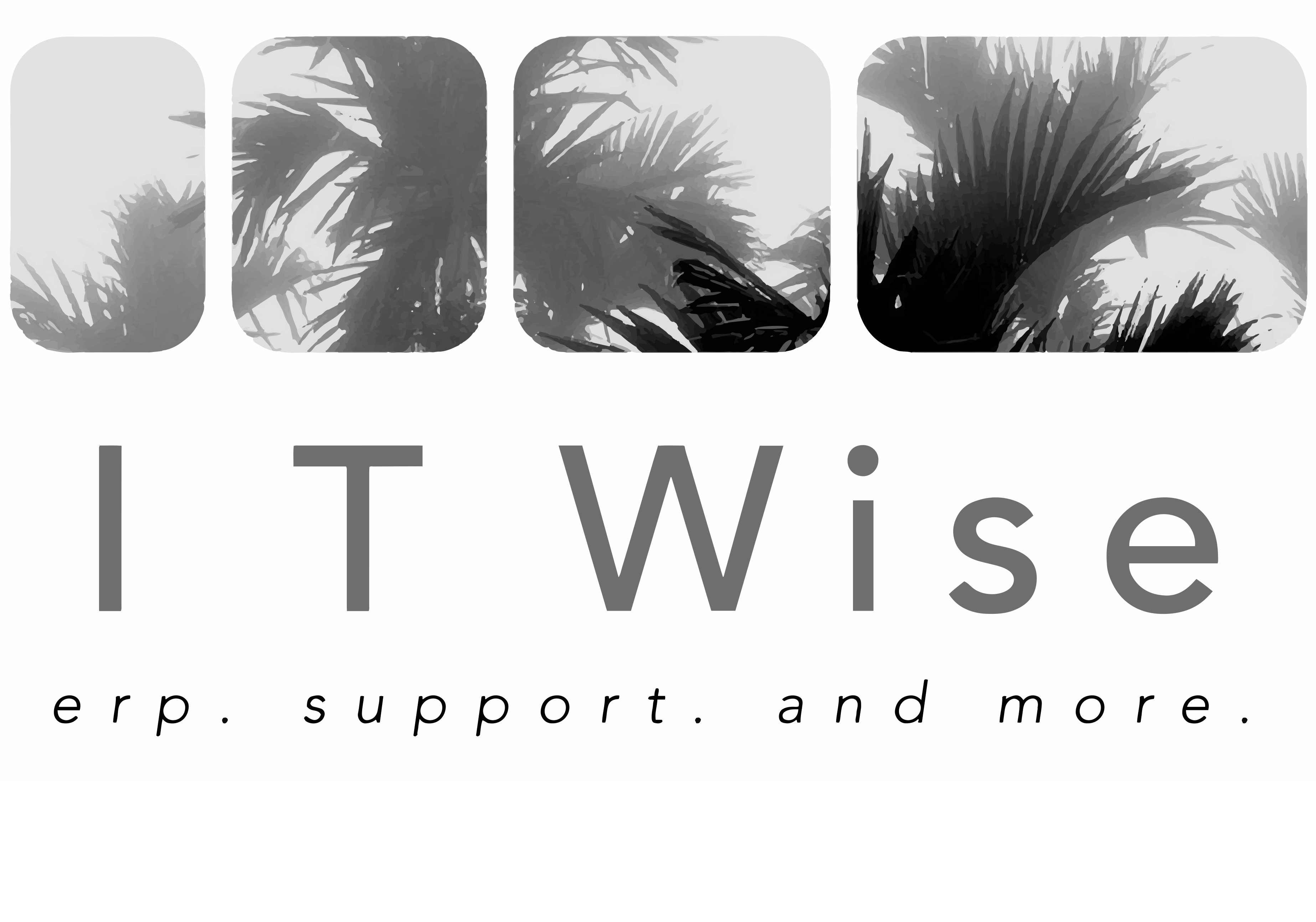 ITWise Informatikai, Kereskedelmi és Szolgáltató Korlátolt Felelősségű Társaság